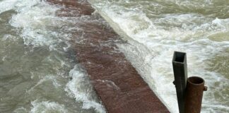 Genova, il Buoncanile rischia di chiudere, Volontari in cerca di aiuto Buoncanile ponte crollato