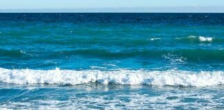 Quinto, bagni vietati alla spiaggia di via Flecchia Mare colori