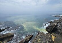 Nervi, fogna scarica a mare tra gli scogli della passeggiata a mare Nervi fogna a mare passeggiata Anita Garibaldi
