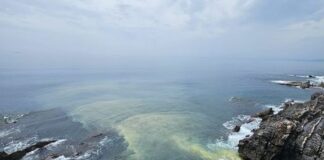 Nervi, fogna scarica a mare tra gli scogli della passeggiata a mare Nervi fogna a mare passeggiata Anita Garibaldi