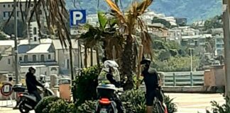 Genova, ciclisti snobbano la pista ciclabile, controlli della locale ciclisti in corso Italia