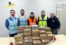 Vado Ligure, cocaina per due milioni di euro in un carico di banane cocaina sequestro vado ligure 14 maggio 2024