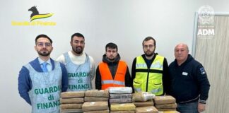 Vado Ligure, nuovo maxi sequestro di coca nell’interporto cocaina sequestro vado ligure 14 maggio 2024