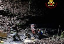 Torriglia, cavallo cade in una scarpata, salvato dai Vigili del Fuoco Torriglia cavallo salvato 2 gugno 2024