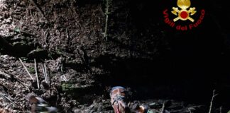 Torriglia, cavallo cade in una scarpata, salvato dai Vigili del Fuoco Torriglia cavallo salvato 2 gugno 2024