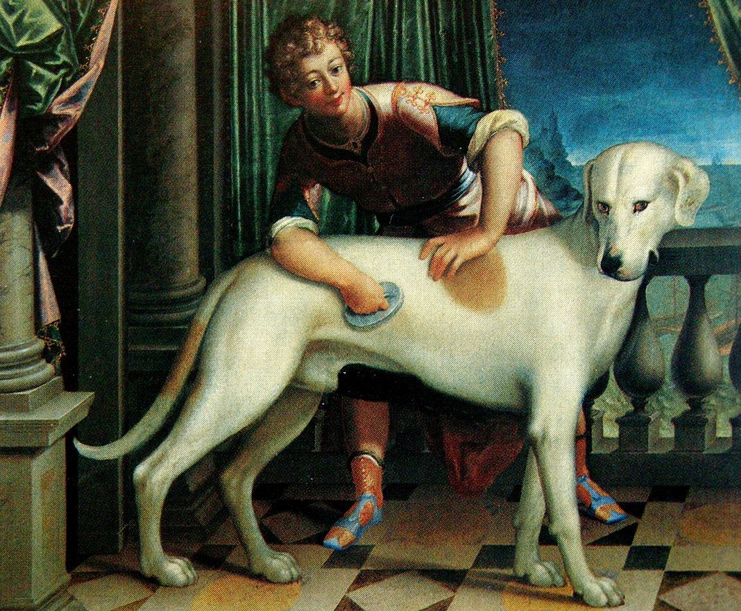 Roldano cane di Giovanni Andrea Doria quadro Villa del Principe Genova