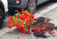 Genova, vaso cade da un palazzo in via Napoli e colpisce un passante