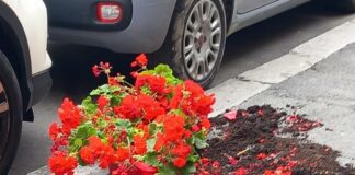 Genova, vaso cade da un palazzo in via Napoli e colpisce un passante