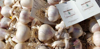 Imperia, la selezione per il Campionato Nazionale salsa al mortaio con aglio di Vessalico Aglio Vessalico