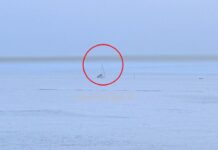 Genova, nube nera dei traghetti, allarme inquinamento inquinamento nube nera traghetti Genova