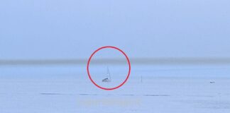 Genova, nube nera dei traghetti, allarme inquinamento inquinamento nube nera traghetti Genova