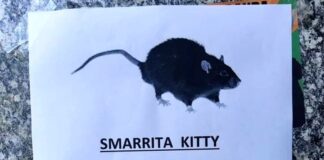 Genova, smarrita Kitty, pantegana di 6 kg, scherzo o ironica protesta? manifesto Kitty topo