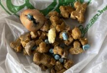 Genova, allarme bocconi avvelenati a Boccadasse bocconi avvelenati Boccadasse