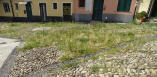 Genova, a Campopisano il risseu restaurato e abbandonato nel degrado Campopisano risseu, mosaico Genova