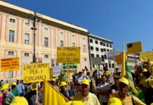 Emergenza Cinghiali, presidio di protesta di Coldiretti e la risposta degli Animalisti coldiretti manifestazione cinghiali