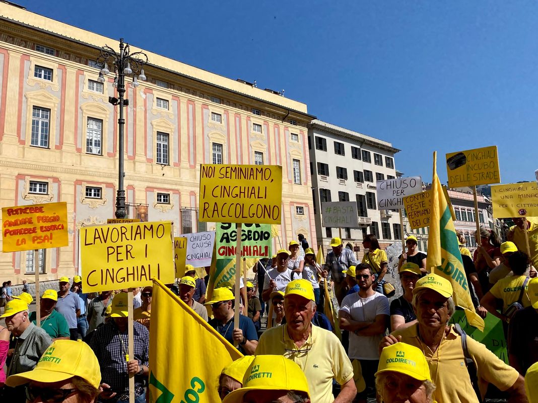 coldiretti manifestazione cinghiali