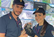 Gattino abbandonato in Autostrada, arriva la polizia e lo salva gatto abbandonato polizia