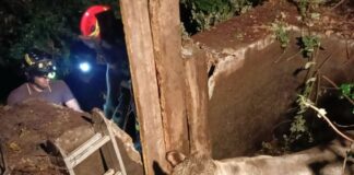 Genova, mucca cade in una cisterna sulle alture di Sestri, salvata dai vigili del fuoco mucca salvata vigili fuoco sestri ponente 2 luglio 2024