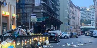 Marassi, dopo le passeggiate dei cinghiali i raid dei gabbiani Gabbiani Marassi via Tortosa