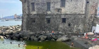 Rapallo, il mare si colora di verde, preoccupazione tra i turisti Rapallo acquu verde castello