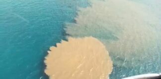 Genova, scarichi fognari in mare a Quinto, forse proseguiti per 4 giorni