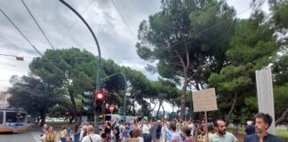 Genova, taglio dei pini secolari di Brignole, terza serata di proteste alberi tagliati brignole protesta