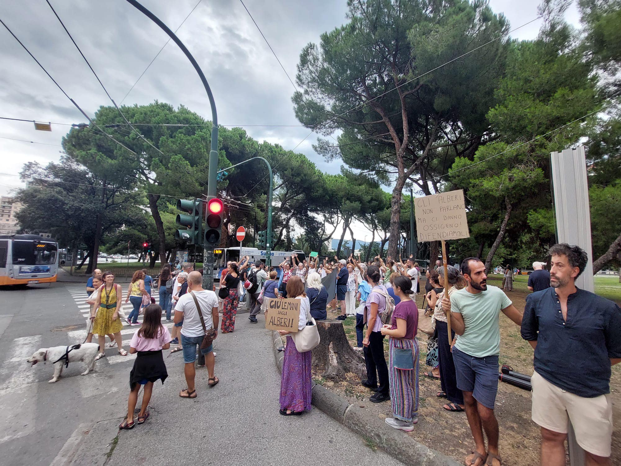 alberi tagliati brignole protesta