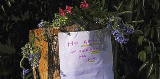 Genova, alberi abbattuti a Brignole, moncherini trasformati in colonne infami alberi abbattuti brignole colonne infami