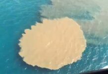 Genova, sversamento fognario in mare a Quinto, tornano i divieti di balneazione scarico mare Quinto