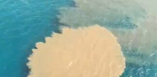 Genova, depuratore di Quinto in tilt, scarico fognario a mare – VIDEO scarico mare Quinto