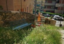 Borgoratti, la panchina sepolta dalle erbacce diventa un’opera d’arte panchina sepolta erbacce Borgoratti