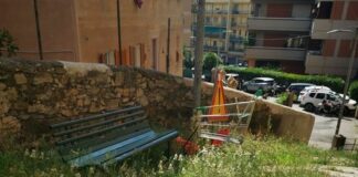 Borgoratti, la panchina sepolta dalle erbacce diventa un’opera d’arte panchina sepolta erbacce Borgoratti