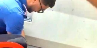 Genova, carabinieri salvano gattino in lungomare Canepa gatto salvato lungomare Canepa 7 settembre 2024