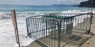 Mareggiata inonda i nidi di tartaruga in Liguria, scattati i controlli mareggiata nidi tartaruga