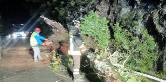 Maltempo a Genova, forti raffiche di vento e decine di interventi dei Vigili del Fuoco Borzonasca albero caduto sulla strada