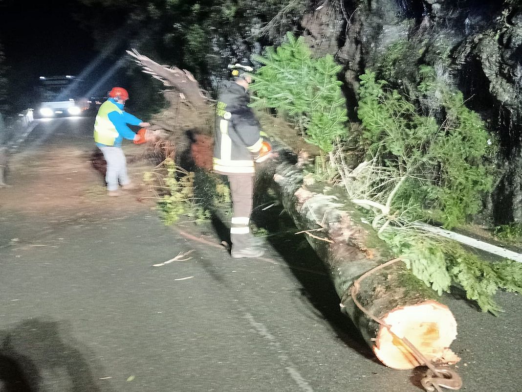 Borzonasca albero caduto sulla strada 