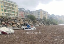 Genova, Marina del Castelluccio invasa da tronchi e rami, il mare sparisce a Pegli Marina Castelluccio Pegli invasa tronchi