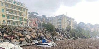 Genova, Marina del Castelluccio invasa da tronchi e rami, il mare sparisce a Pegli Marina Castelluccio Pegli invasa tronchi