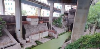 Genova, una palude sotto la Sopraelevata Sampierdarena palude sotto sopraelevata
