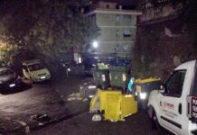 Genova, ancora segnalazioni di cinghiali sulle alture di Marassi