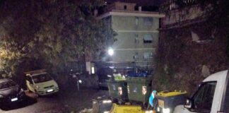 Genova, ancora segnalazioni di cinghiali sulle alture di Marassi