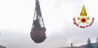 Genova, mucca precipita in un dirupo a Bavastrelli, arriva l’elicottero mucca caduta dirupo bavastrelli 24 ottobre 2024