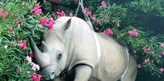 Genova, sculture sfrattate da Portofino a Villa Croce e Waterfront, PD: chi paga? Museo arte Portofino