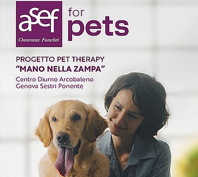 Asef for Pets