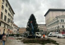 Genova, arrivato in piazza De Ferrari l’albero di Natale: l’8 dicembre l’accensione