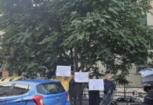 Genova, salvo l’ultimo albero del Carmine Albero Carmine