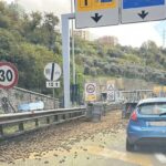 Autostrada carico di kiwi Ge Ovest