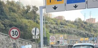 Genova, camion di kiwi perde carico al casello di Genova Ovest Autostrada carico di kiwi Ge Ovest