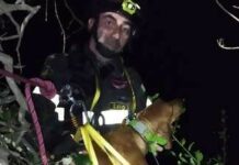 Ceriana, cane cade in un vascone, salvato dai vigili del fuoco cane salvato Orco Feglino