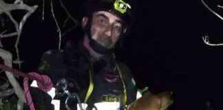 Ceriana, cane cade in un vascone, salvato dai vigili del fuoco cane salvato Orco Feglino